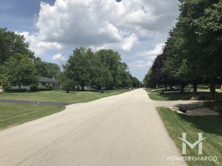 Riverwood subdivision in Oswego, IL