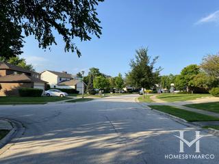 Woodlands subdivision in Northbrook, IL
