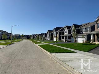 Bergman Pointe subdivision in Hoffman Estates, IL