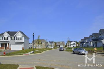 Orchard Meadows subdivision in Mundelein, IL