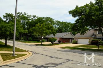 McInerney Woods subdivision in Downers Grove, IL