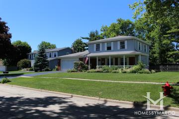 Nordic Park subdivision in Libertyville, IL