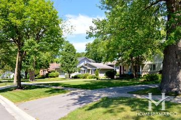St. Mary's subdivision in Downers Grove, IL