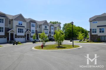 Lexington Chase subdivision in Palatine, IL