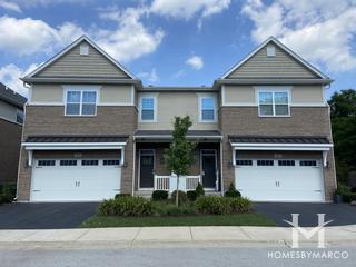 Timber Grove subdivision in Naperville, IL