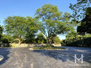 Orchard Fields subdivision in Mount Prospect, IL