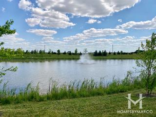 Leigh Creek subdivision in New Lenox, IL