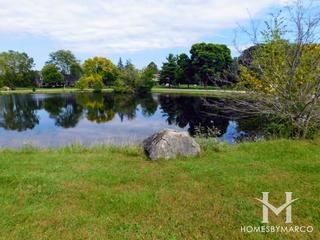 Reserve at Barrington subdivision in Barrington, IL