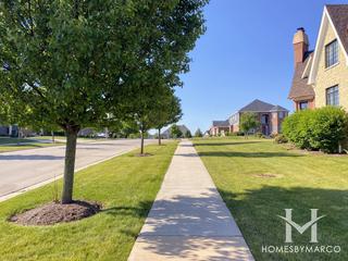 Krystyna Crossing subdivision in Lemont, IL