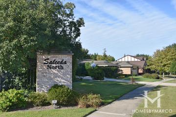 Photos of Salceda North subdivision in Northbrook, IL
