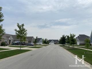 Birch Path subdivision in Lemont, IL