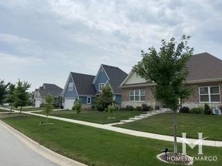 Birch Path subdivision in Lemont, IL