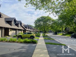 Lake in the Woods subdivision in Darien, IL