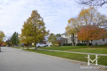 Charlemagne East subdivision in Northbrook, IL