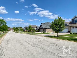 Rachel Ridge subdivision in New Lenox, IL