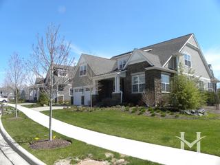 Anets Woods subdivision in Northbrook, IL