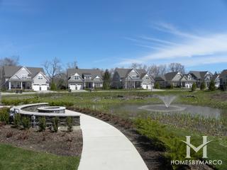 Anets Woods subdivision in Northbrook, IL