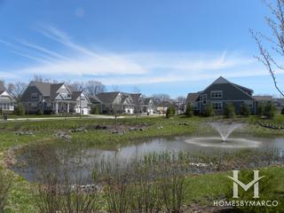 Anets Woods subdivision in Northbrook, IL