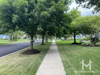 Tramore subdivision in Naperville, IL