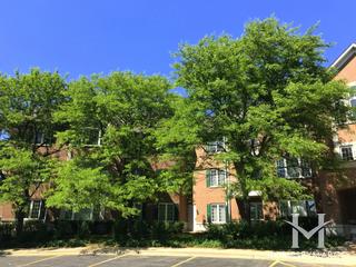 2660 Summit Drive building in Glenview, IL