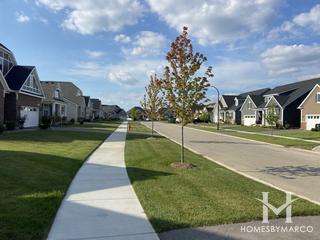 Ashwood Crossing subdivision in Naperville, IL