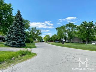 Windermere Heights subdivision in New Lenox, IL