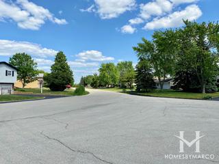 Windermere Heights subdivision in New Lenox, IL