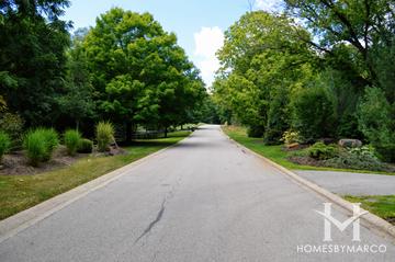 Photos of Goose Lake subdivision in Barrington Hills, IL