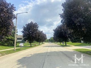 Olde Mill Crossing subdivision in Plainfield, IL