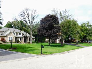 Chateaux Bourne subdivision in Barrington, IL