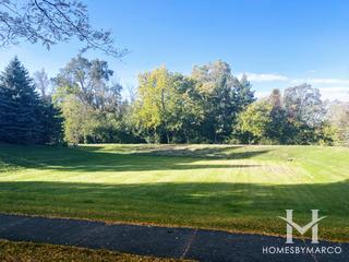 Highridge subdivision in Darien, IL