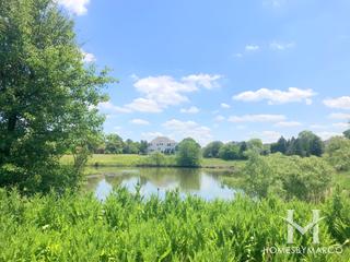 Pine Hill Estates subdivision in Homer Glen, IL
