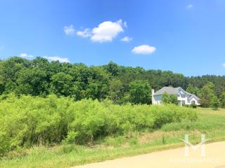 Pine Hill Estates subdivision in Homer Glen, IL