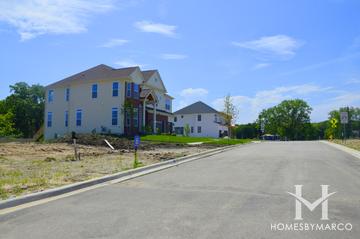 Woodland Chase subdivision in Vernon Hills, IL