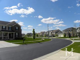 The Cove subdivision in Algonquin, IL
