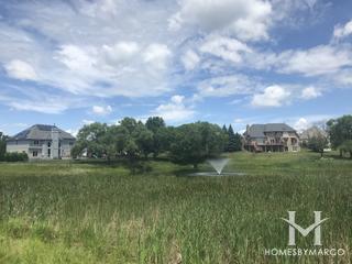 Somerglen South subdivision in Orland Park, IL