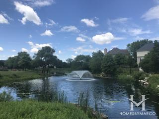 Somerglen South subdivision in Orland Park, IL