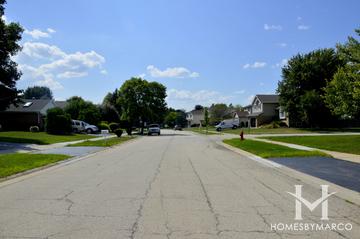 The Meadows subdivision in Lake Zurich, IL