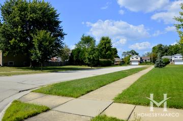 The Meadows subdivision in Lake Zurich, IL