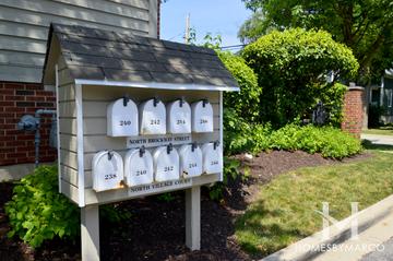 Village Green subdivision in Palatine, IL