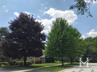 Creekside Court subdivision in Naperville, IL