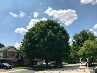 Creekside Court subdivision in Naperville, IL