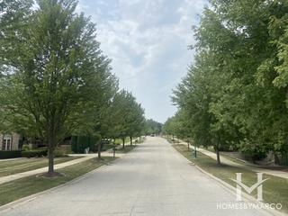 South Pointe subdivision in Lemont, IL