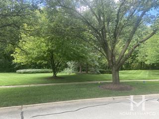 Deepwood subdivision in Naperville, IL