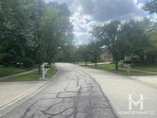 Deepwood subdivision in Naperville, IL