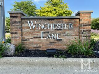 Photos of Winchester Lane subdivision in Northbrook, IL