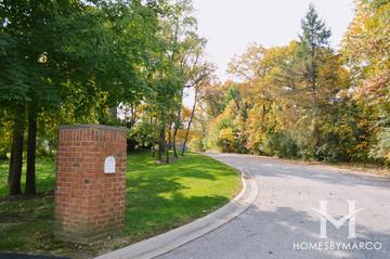 Photos of Teiche Woods subdivision in Kildeer, IL