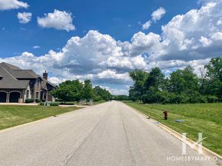 Steeple Run subdivision in New Lenox, IL