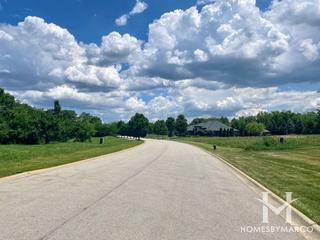 Steeple Run subdivision in New Lenox, IL
