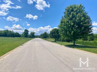 Steeple Run subdivision in New Lenox, IL
